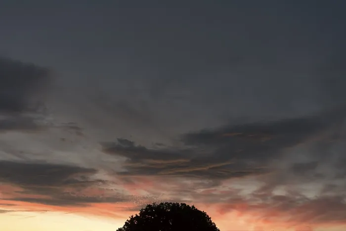 Framed Print : Evening Sky with Tree Silhouettes Print, Bavaria, Germany Framed Print : Evening Sky with Tree Silhouettes Print, Bavaria, Germany