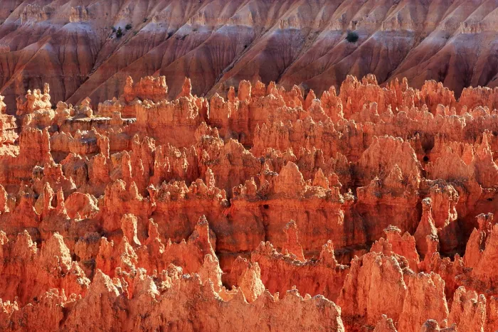 Framed Print : Bryce Canyon Red Rocks Evening Print Framed Print : Bryce Canyon Red Rocks Evening Print