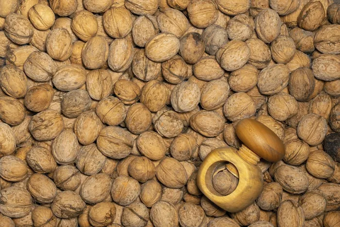 Framed Print : Evenly Distributed Walnuts Print with Wooden Nutcracker Background Framed Print : Evenly Distributed Walnuts Print with Wooden Nutcracker Background