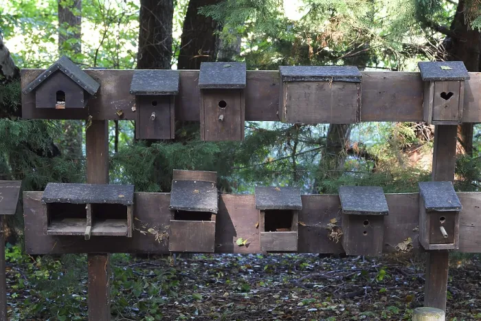 Framed Print : Brandenburg Examples of different nest boxes Print Framed Print : Brandenburg Examples of different nest boxes Print
