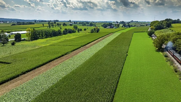 Framed Print : Expansive Fields Summer Print Framed Print : Expansive Fields Summer Print