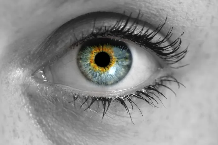 Framed Print : Eye Looking at Viewer Print - Macro Photography Framed Print : Eye Looking at Viewer Print - Macro Photography