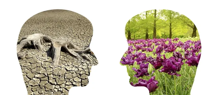 Framed Print : Climate Change Print: Desert vs. Bloom Framed Print : Climate Change Print: Desert vs. Bloom