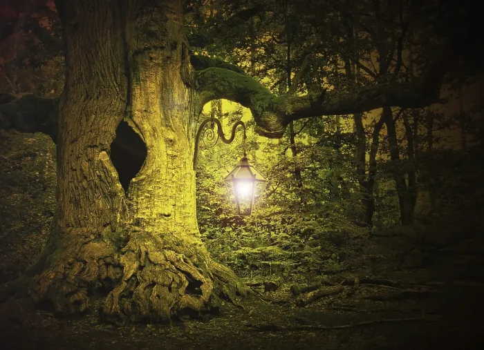 Framed Print : Enchanted Fairytale Forest Print Framed Print : Enchanted Fairytale Forest Print