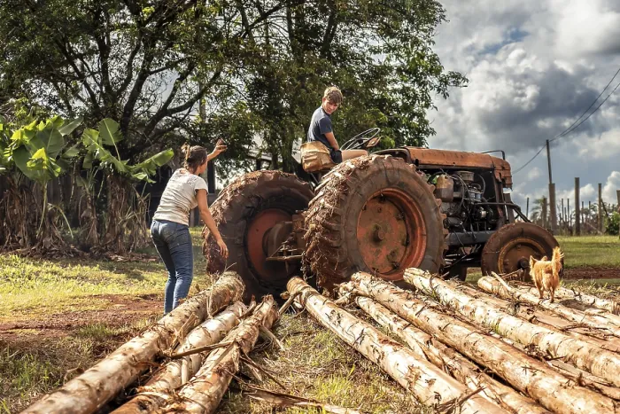 Framed Print : Family Working in the Fields Print: Mother and Son Logging Framed Print : Family Working in the Fields Print: Mother and Son Logging