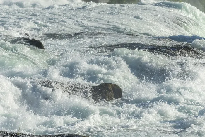 Framed Print : Fast currents in Rhine Falls in spring Print, Switzerland