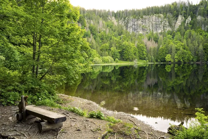 Framed Print : The Feldsee with a Bench Print, Black Forest, Germany Framed Print : The Feldsee with a Bench Print, Black Forest, Germany