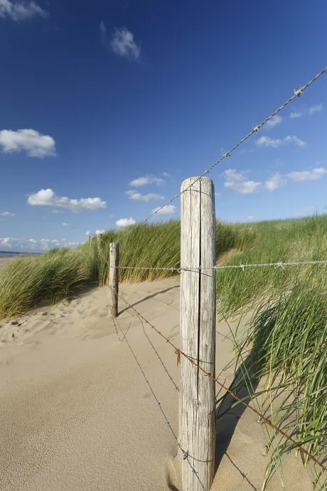 Framed Print : Fence at a Sand Dune Print Framed Print : Fence at a Sand Dune Print