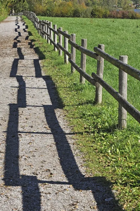 Framed Print : Fence with Shadow Print, Bühl am Alpsee, Germany Framed Print : Fence with Shadow Print, Bühl am Alpsee, Germany
