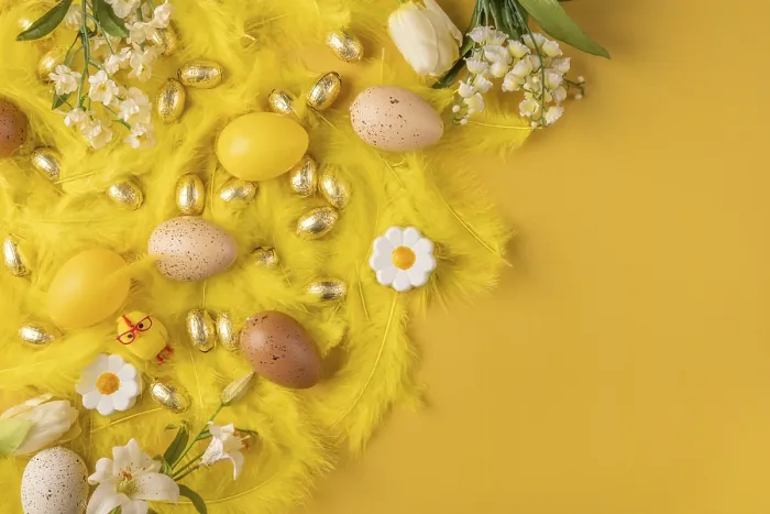 Framed Print : Yellow Feathered Easter Print with Spring Flowers Framed Print : Yellow Feathered Easter Print with Spring Flowers