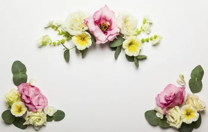 Framed Print : Festive Flower Composition Print on White Background Framed Print : Festive Flower Composition Print on White Background