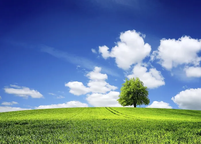 Framed Print : Spring Landscape Field Print Framed Print : Spring Landscape Field Print