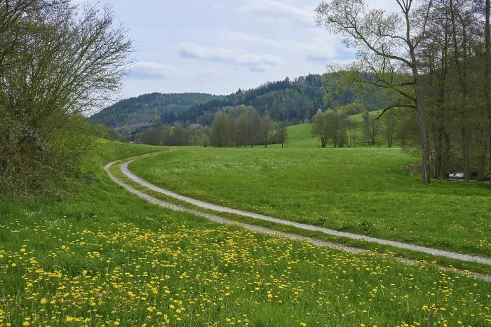 Framed Print : Field Path Print, Kirchzell, Bavaria, Germany Framed Print : Field Path Print, Kirchzell, Bavaria, Germany