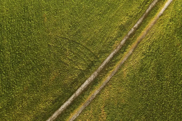 Framed Print : Field Path Print, Salzkammergut, Austria