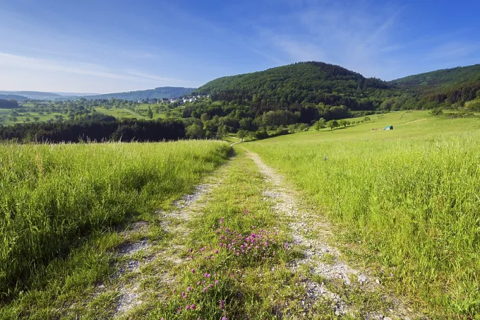 Framed Print : Field Path in Spring, Weiler-Boppard Print Framed Print : Field Path in Spring, Weiler-Boppard Print