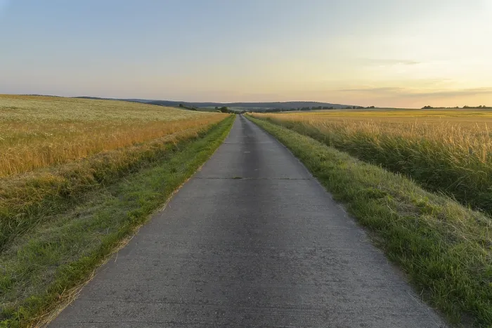 Framed Print : Field Road with Wheat Fields at Sunset Print, Dietersdorf, Germany Framed Print : Field Road with Wheat Fields at Sunset Print, Dietersdorf, Germany