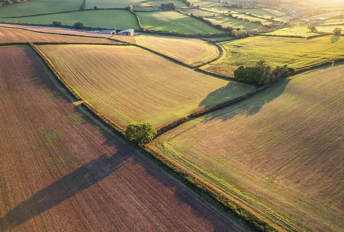 Framed Print : Top Down Print of Devon Farmlands from a Drone Framed Print : Top Down Print of Devon Farmlands from a Drone