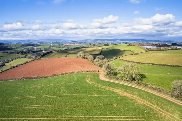 Framed Print : Fields and Farmlands in spring print, Devon, England Framed Print : Fields and Farmlands in spring print, Devon, England