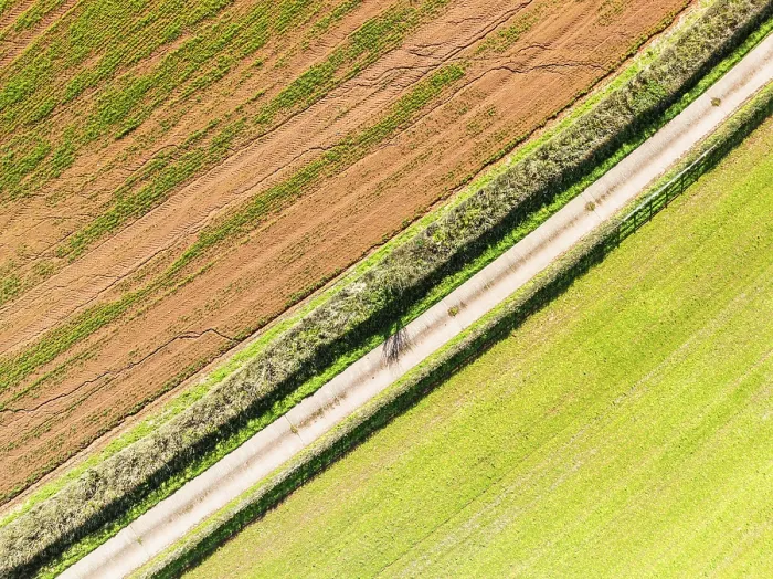 Framed Print : Devon, England Print - Top Down Drone View