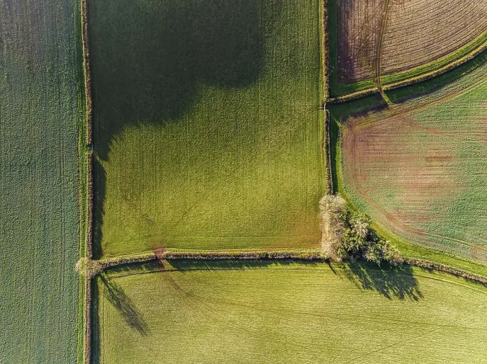 Framed Print : Top Down Print of Devon Fields and Farms from a Drone Framed Print : Top Down Print of Devon Fields and Farms from a Drone