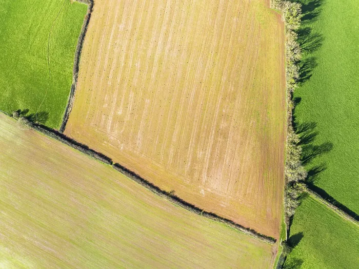 Framed Print : Top Down Print: Devon, England Landscape from a Drone Framed Print : Top Down Print: Devon, England Landscape from a Drone