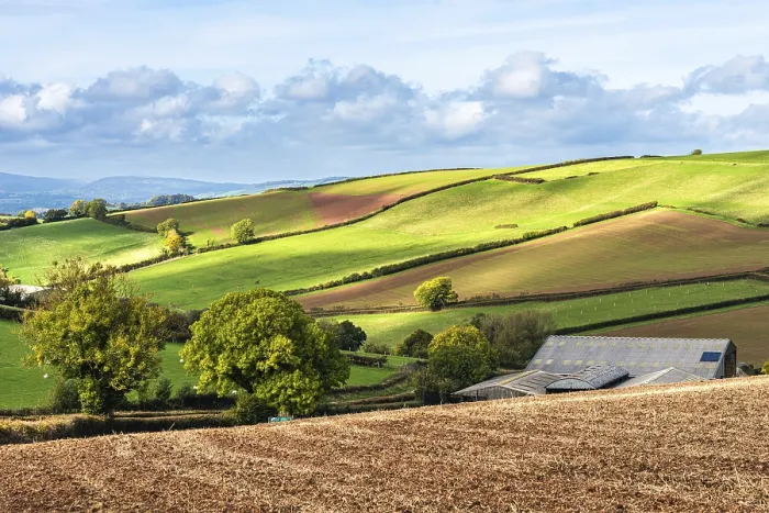 Framed Print : Devon Fields and Farms Drone Print, England Framed Print : Devon Fields and Farms Drone Print, England