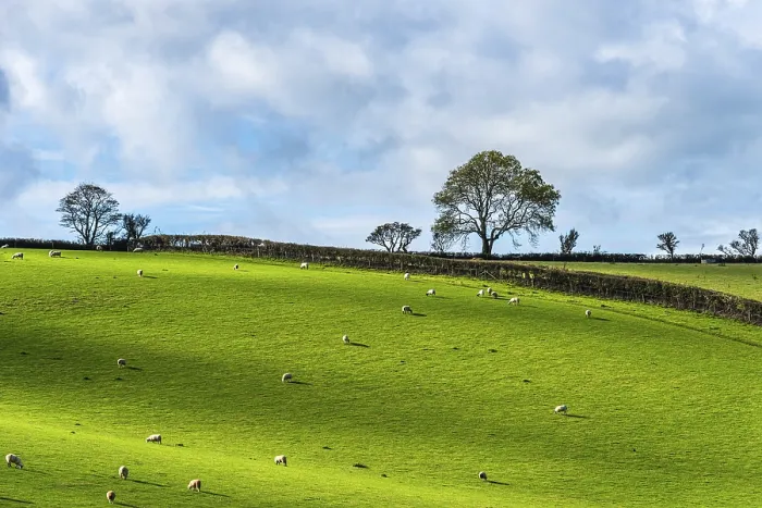Framed Print : Devon Fields and Farms Drone Print, England Framed Print : Devon Fields and Farms Drone Print, England