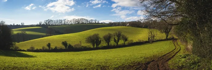 Framed Print : Fields and Meadows of Conqueror Wood Print, Torquay, Devon Framed Print : Fields and Meadows of Conqueror Wood Print, Torquay, Devon