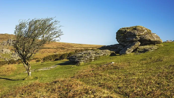 Framed Print : Fields and meadows in Haytor Rocks, Print of Dartmoor Park Framed Print : Fields and meadows in Haytor Rocks, Print of Dartmoor Park