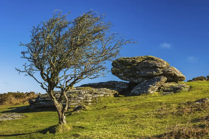 Framed Print : Haytor Rocks Fields and Meadows Print, Dartmoor Park, Devon Framed Print : Haytor Rocks Fields and Meadows Print, Dartmoor Park, Devon