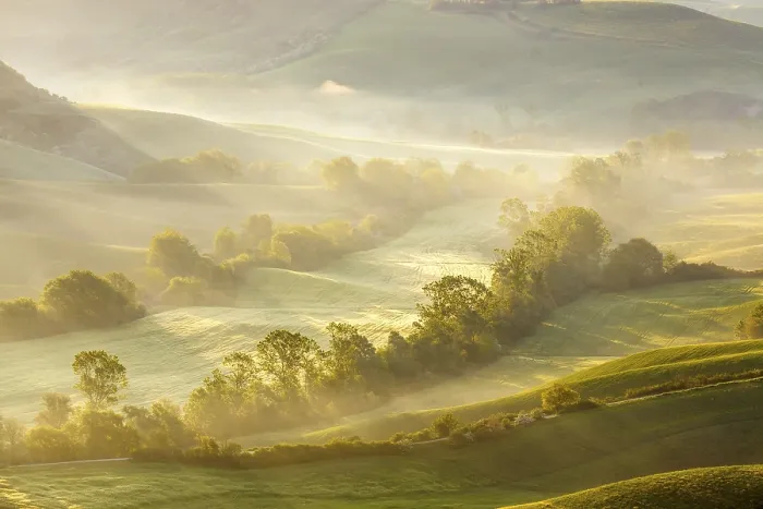 Framed Print : Fields with Tree in Dawn Mist Print Framed Print : Fields with Tree in Dawn Mist Print