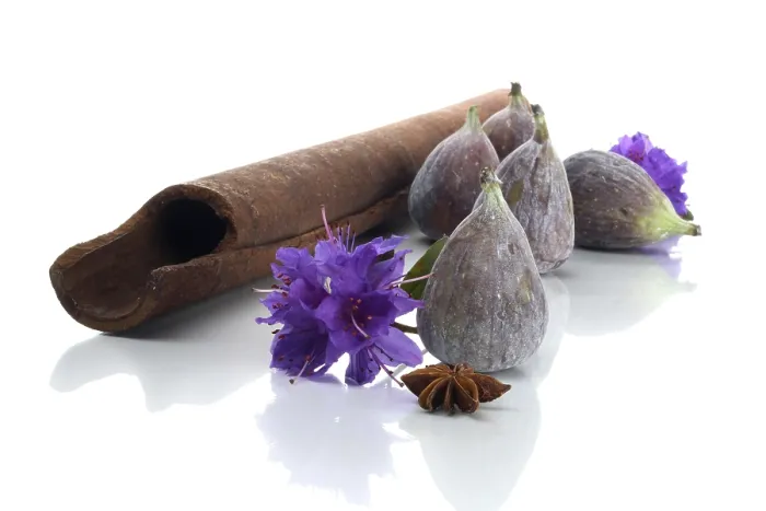 Framed Print : Fig with a Cinnamon Stick Print Framed Print : Fig with a Cinnamon Stick Print