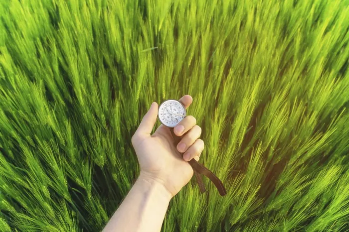 Framed Print : Wheat Field Direction with Compass Print Framed Print : Wheat Field Direction with Compass Print