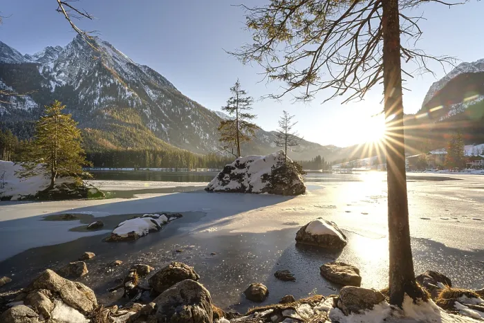 Framed Print : Two Fir Trees on Icy Hintersee Print, Berchtesgaden, Germany Framed Print : Two Fir Trees on Icy Hintersee Print, Berchtesgaden, Germany