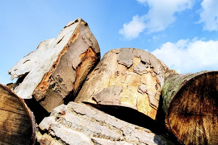 Framed Print : Firewood Print by ImageBROKER Framed Print : Firewood Print by ImageBROKER