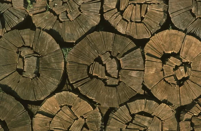 Framed Print : Split Firewood Print Framed Print : Split Firewood Print
