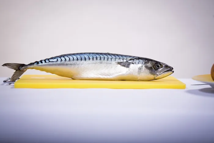 Framed Print : A Fish on a Cutting Board Print Framed Print : A Fish on a Cutting Board Print