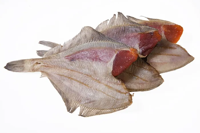 Framed Print : Fish on Isolated Studio Background Print Framed Print : Fish on Isolated Studio Background Print