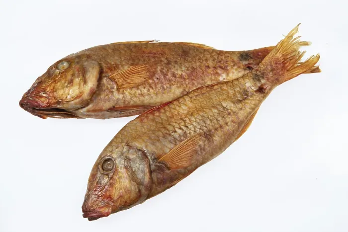 Framed Print : Fish on White Studio Background Print Framed Print : Fish on White Studio Background Print