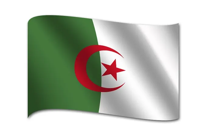 Framed Print : Algeria Flag Print Framed Print : Algeria Flag Print