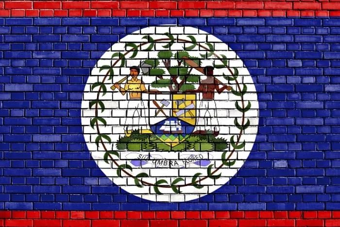 Framed Print : Flag of Belize Painted on Brick Wall Print Framed Print : Flag of Belize Painted on Brick Wall Print