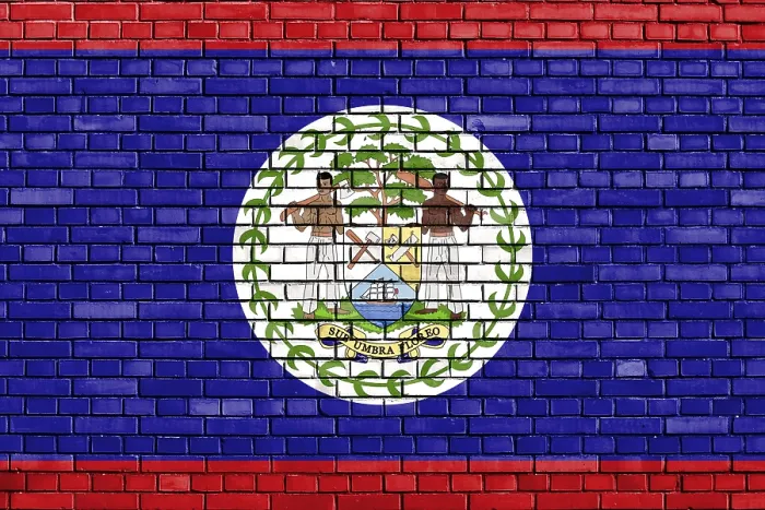 Framed Print : Flag of Belize Painted on Brick Wall Print Framed Print : Flag of Belize Painted on Brick Wall Print