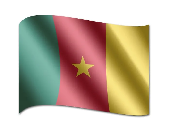 Framed Print : Flag of Cameroon Print Framed Print : Flag of Cameroon Print