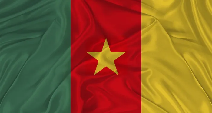 Framed Print : Flag of Cameroon with Cloth Texture Print - Close Up Framed Print : Flag of Cameroon with Cloth Texture Print - Close Up