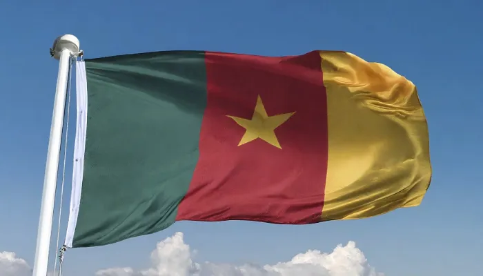 Framed Print : The Flag of Cameroon Print - Blue Sky Background Framed Print : The Flag of Cameroon Print - Blue Sky Background