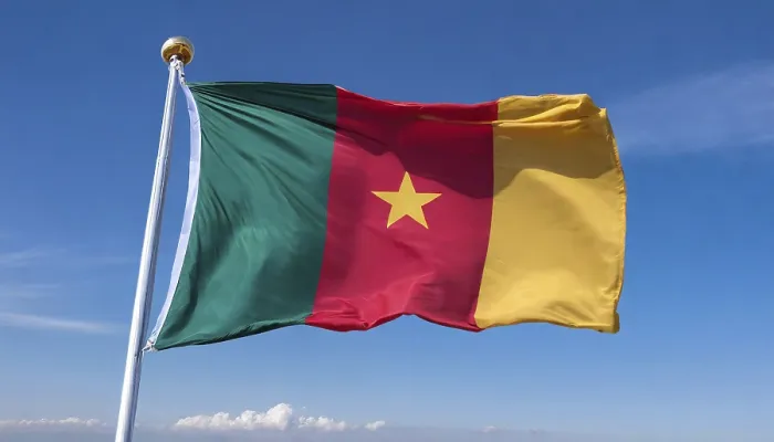 Framed Print : The Flag of Cameroon Print: Isolated Blue Sky Scene Framed Print : The Flag of Cameroon Print: Isolated Blue Sky Scene