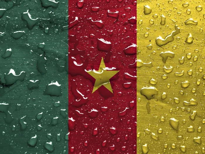 Framed Print : Flag of Cameroon with Rain Drops Print Framed Print : Flag of Cameroon with Rain Drops Print