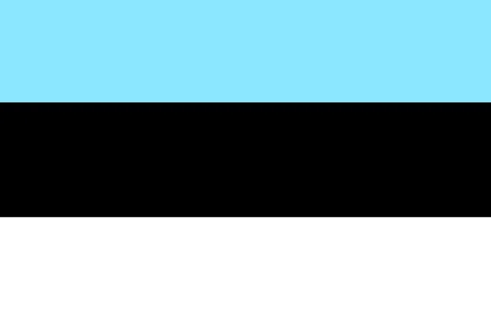 Framed Print : Estonia Flag Print Framed Print : Estonia Flag Print