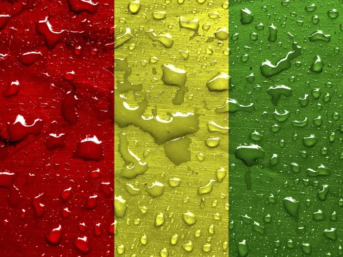 Framed Print : Flag of Guinea with Raindrops Print Framed Print : Flag of Guinea with Raindrops Print