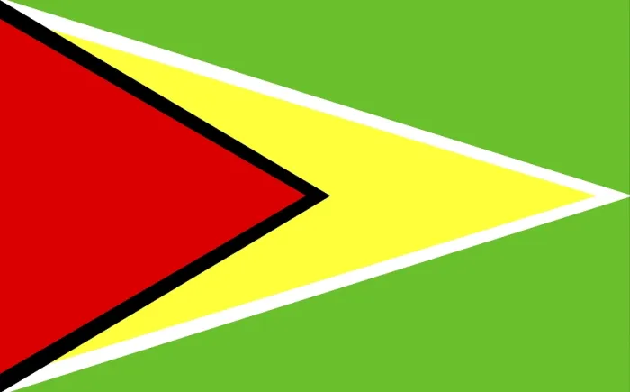 Framed Print : Guyana Flag Print Framed Print : Guyana Flag Print